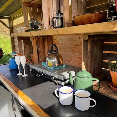 Hotel Geodesic Dome Glamping Llanidloes Exterior foto
