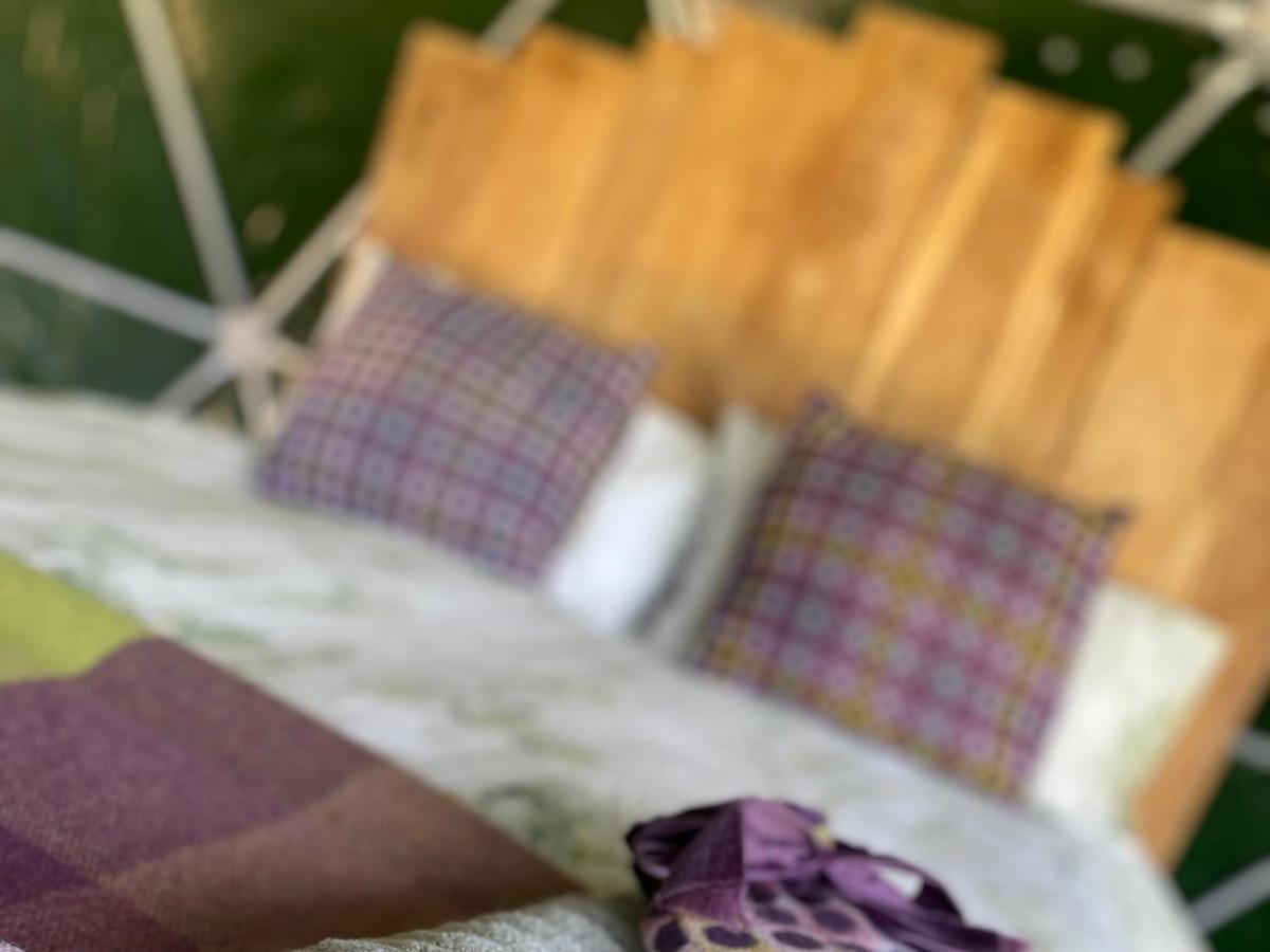 Hotel Geodesic Dome Glamping Llanidloes Exterior foto