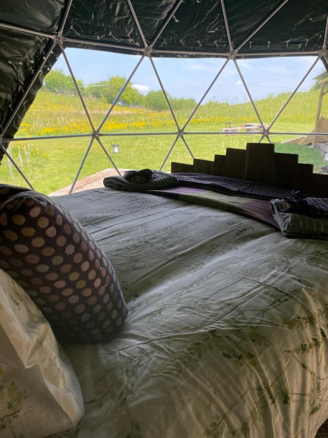 Hotel Geodesic Dome Glamping Llanidloes Exterior foto