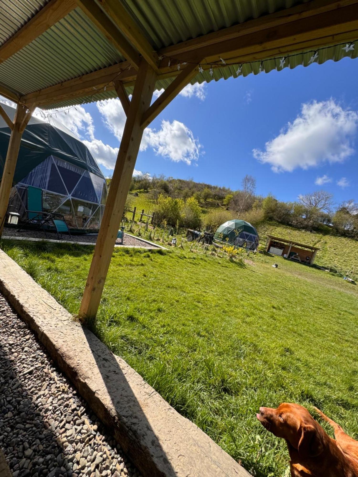 Hotel Geodesic Dome Glamping Llanidloes Exterior foto